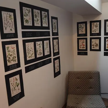 Homestay Apartma V Pivovaru Genius Noci